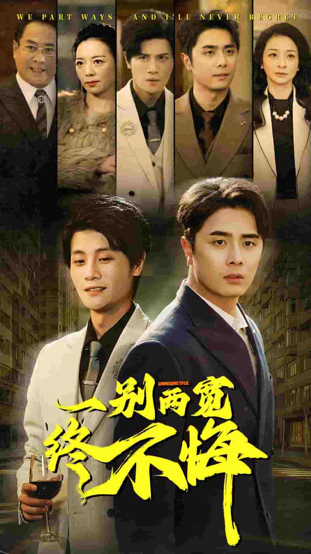 一别两宽终不悔（蓝光）