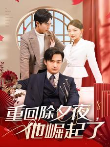 重回除夕夜他崛起了（蓝光）