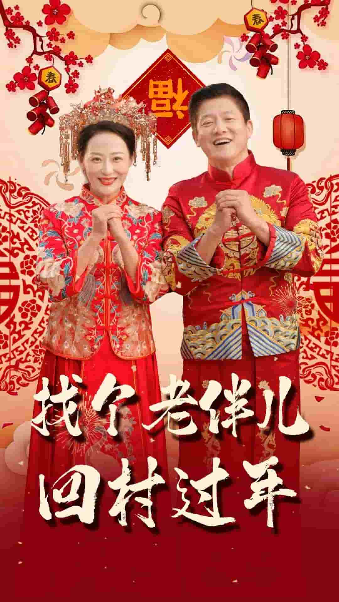 找个老伴儿回村过年（1080）