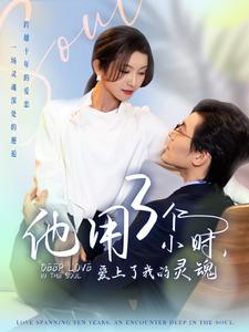 他用3个小时爱上了我的灵魂（蓝光）