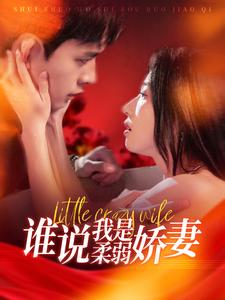 谁说我是柔弱娇妻（蓝光）