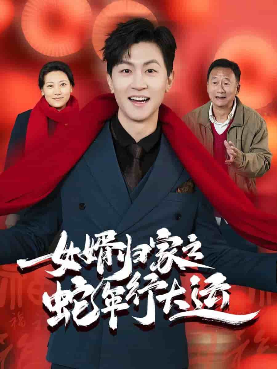 女婿归家之蛇年行大运（1080）