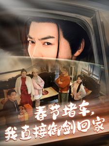 春节堵车我直接御剑飞行回家（蓝光）