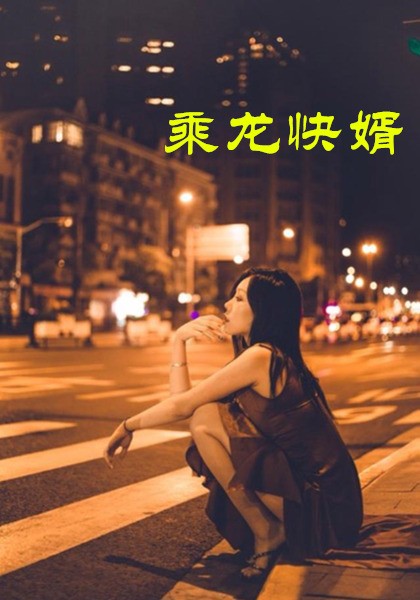 乘龙快婿（1080）