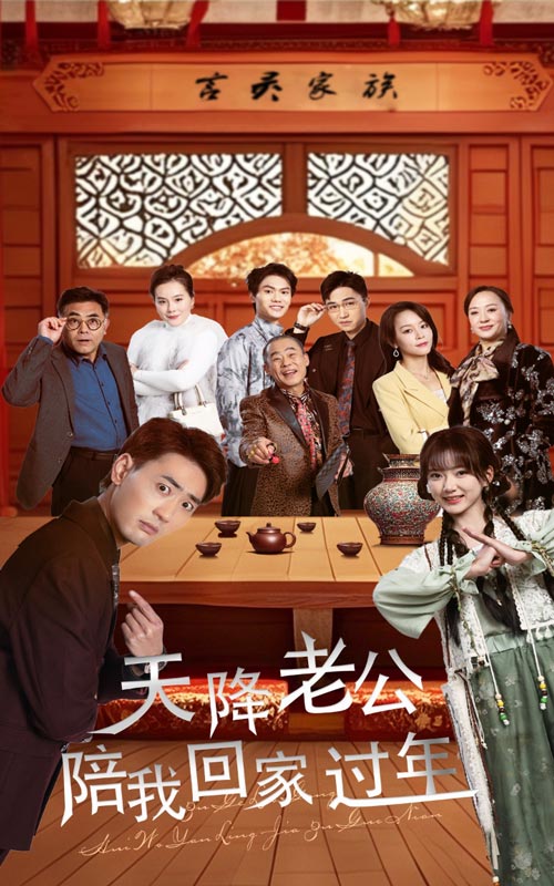 天降老公陪我回家过年（蓝光）