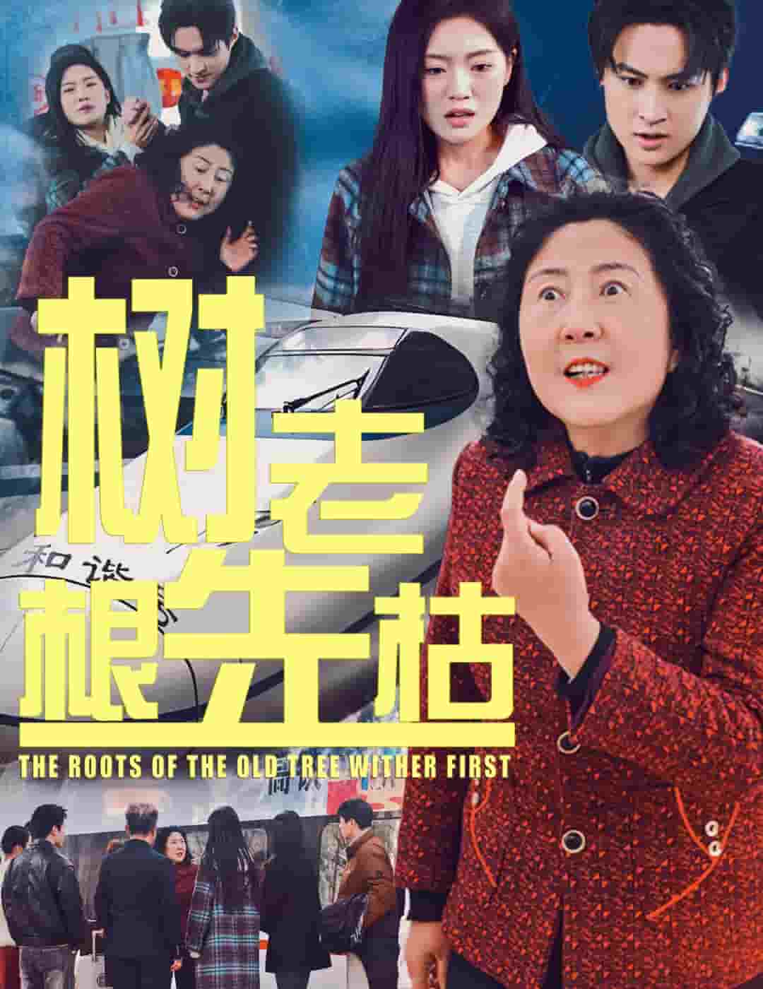 树老根先枯（1080）