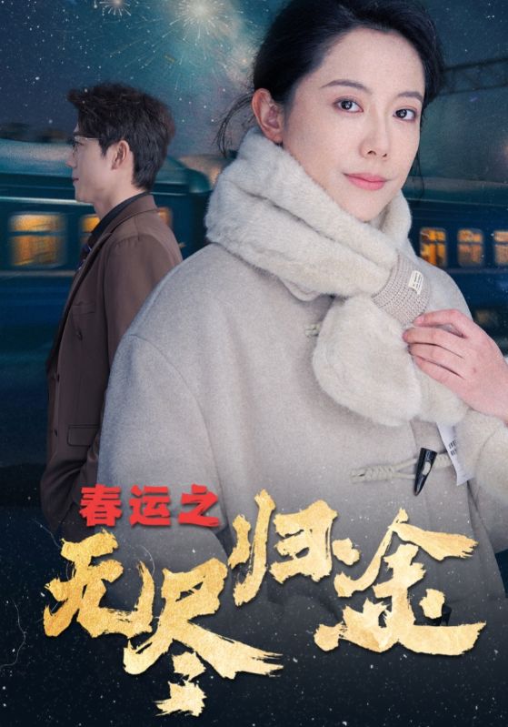 春运之无尽归途（1080）