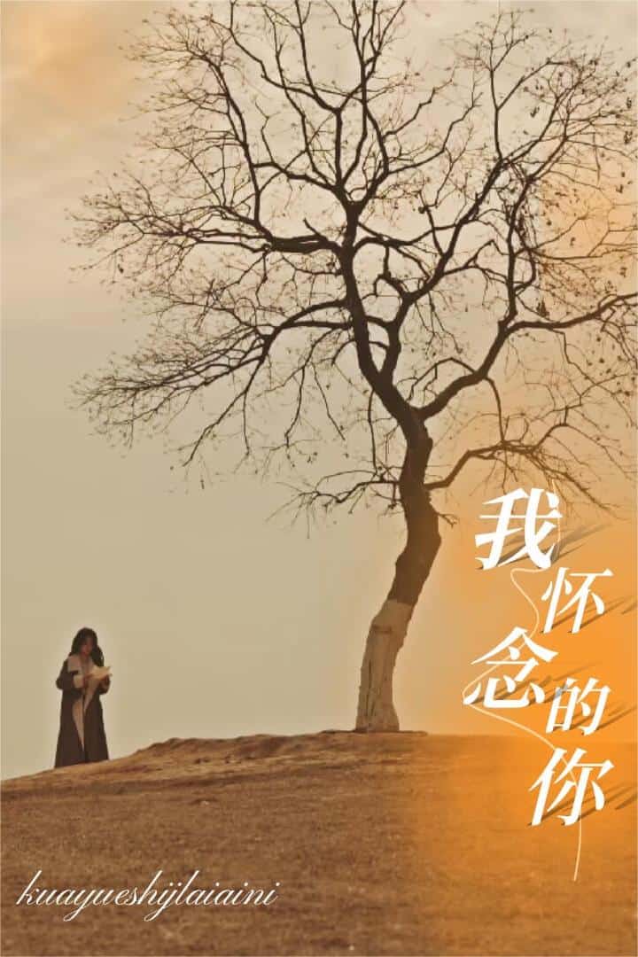 跨越时间来爱你（1080）