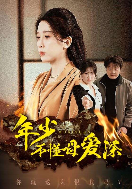 年少不懂母爱深（蓝光）