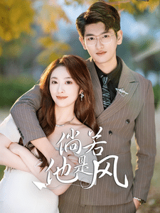 倘若他是风（蓝光）