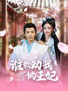 谁敢动我的王妃（1080）