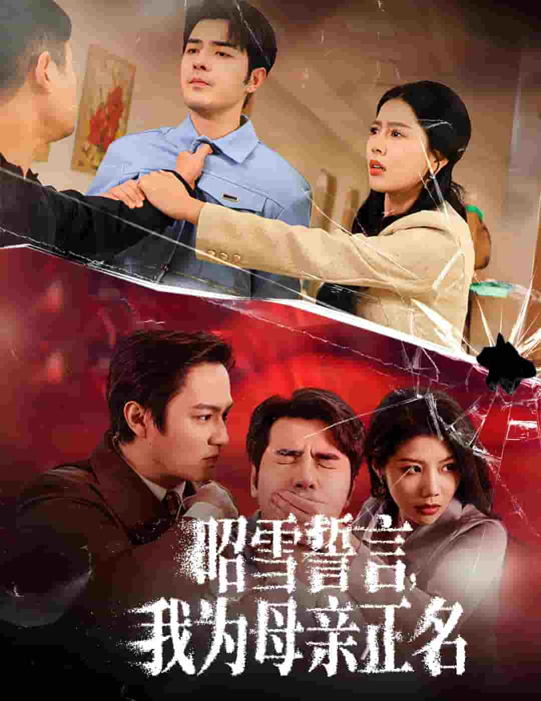 昭雪誓言我为母亲正名（1080）