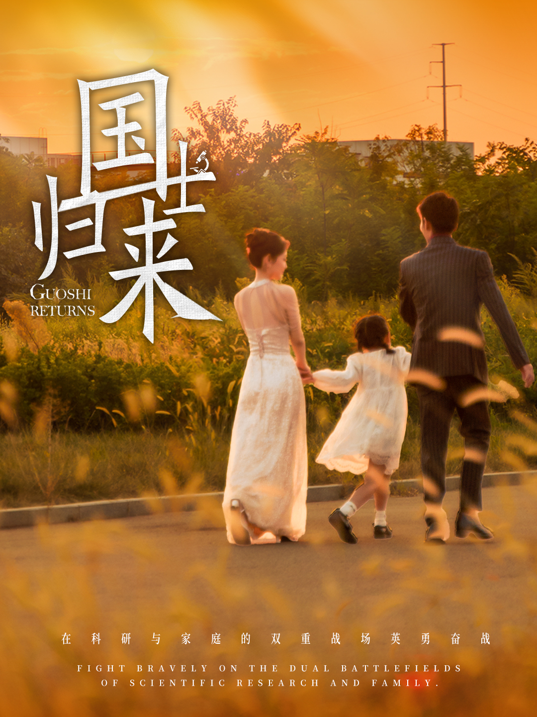 国士归来（蓝光）