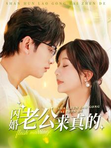 闪婚老公来真的（蓝光）