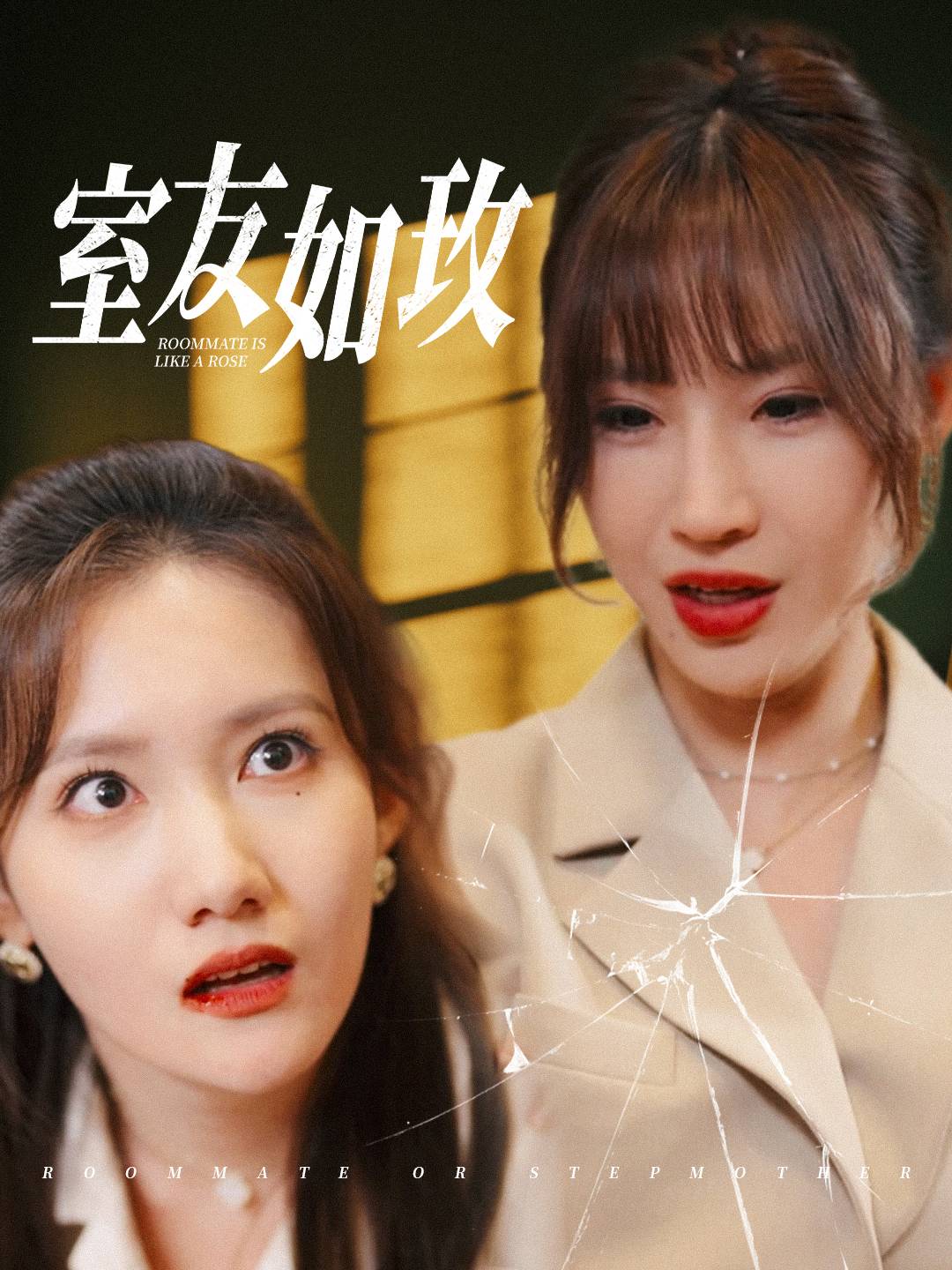 室友如玫（1080）