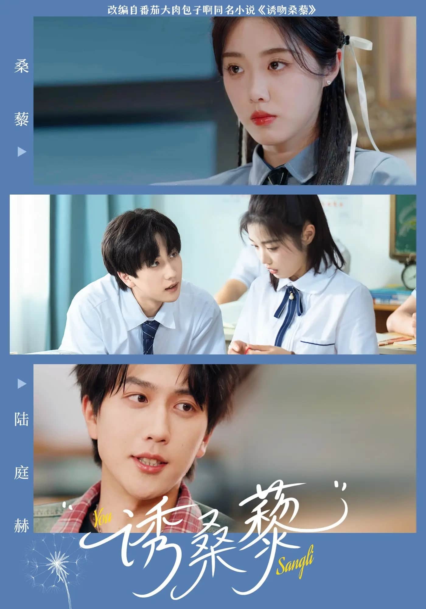 诱桑藜（1080）