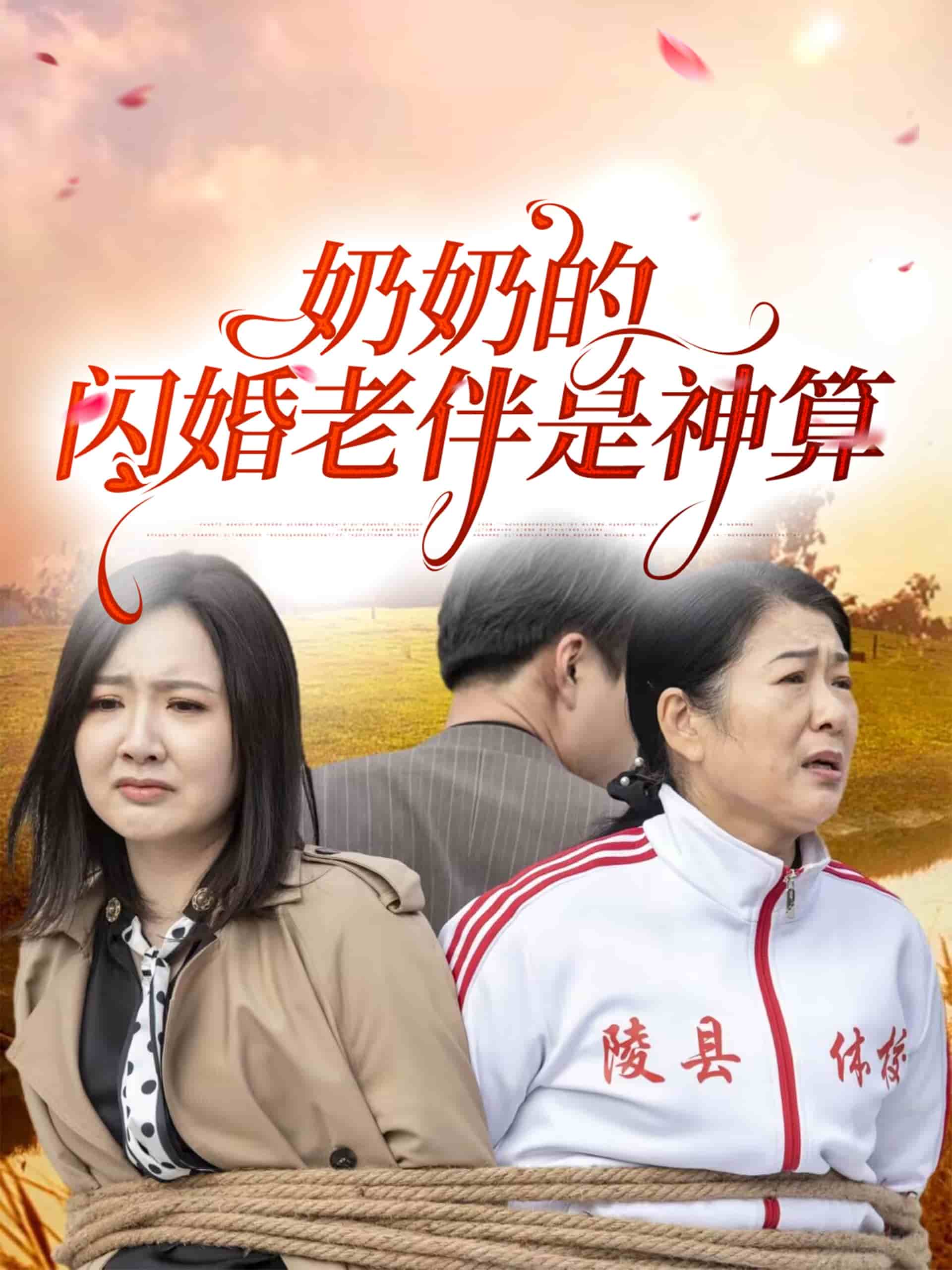 奶奶的闪婚老伴是神算（蓝光）