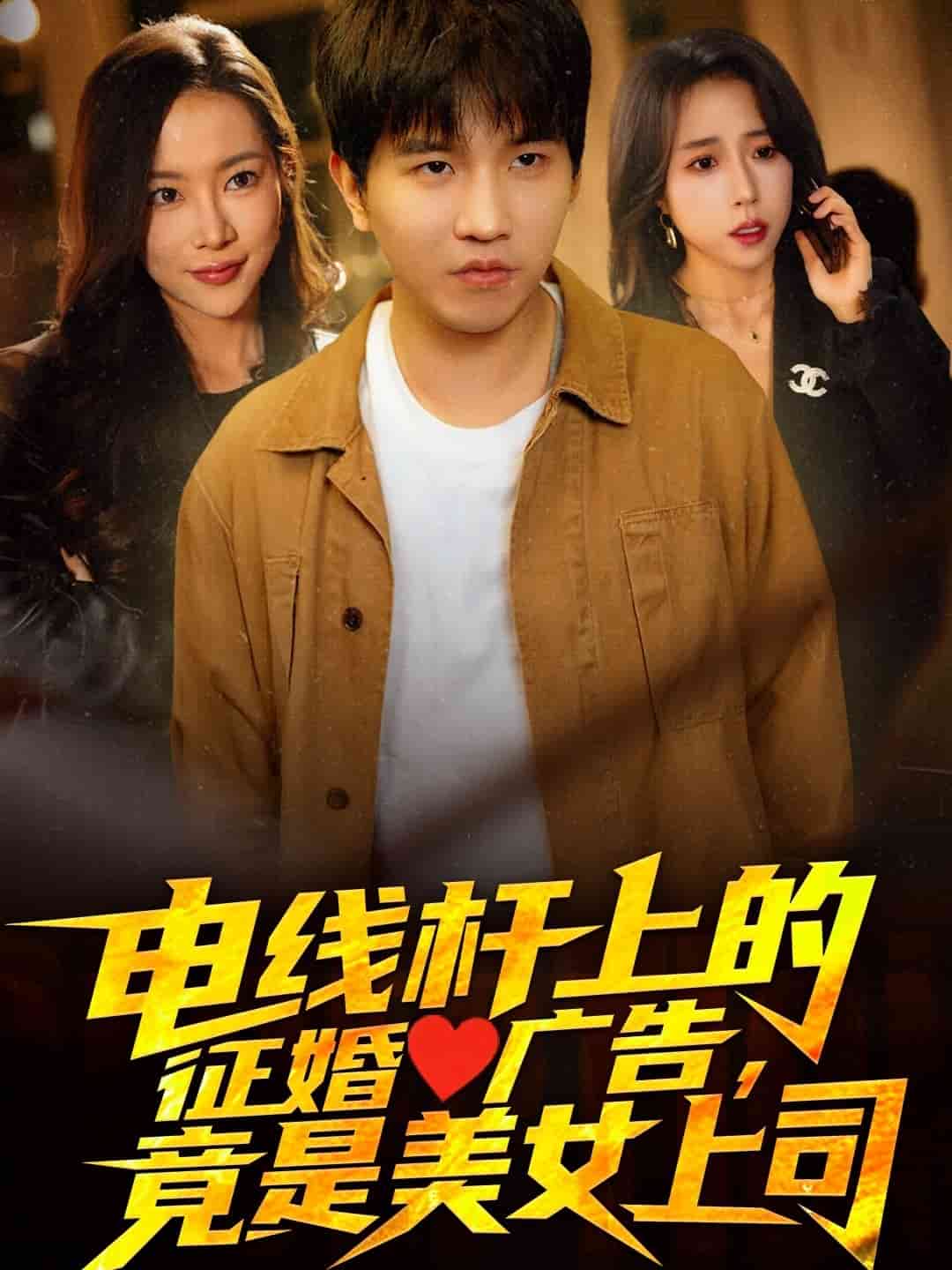 电线杆上的征婚广告竟是美女上司（蓝光）