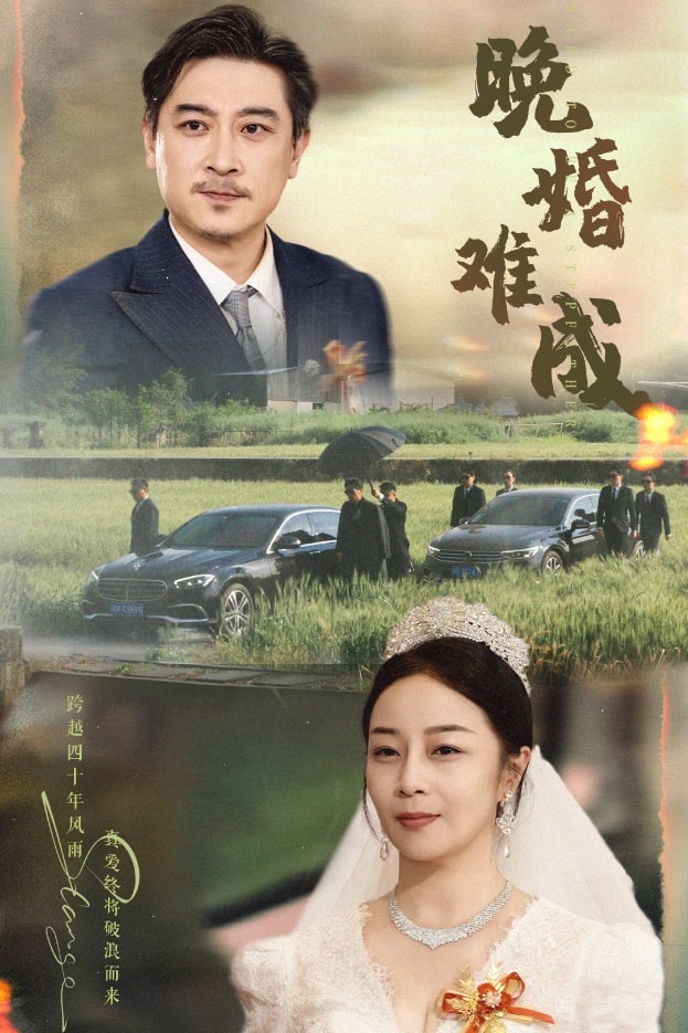 晚婚难成（1080）