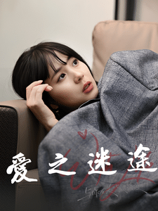 爱之迷途（1080）