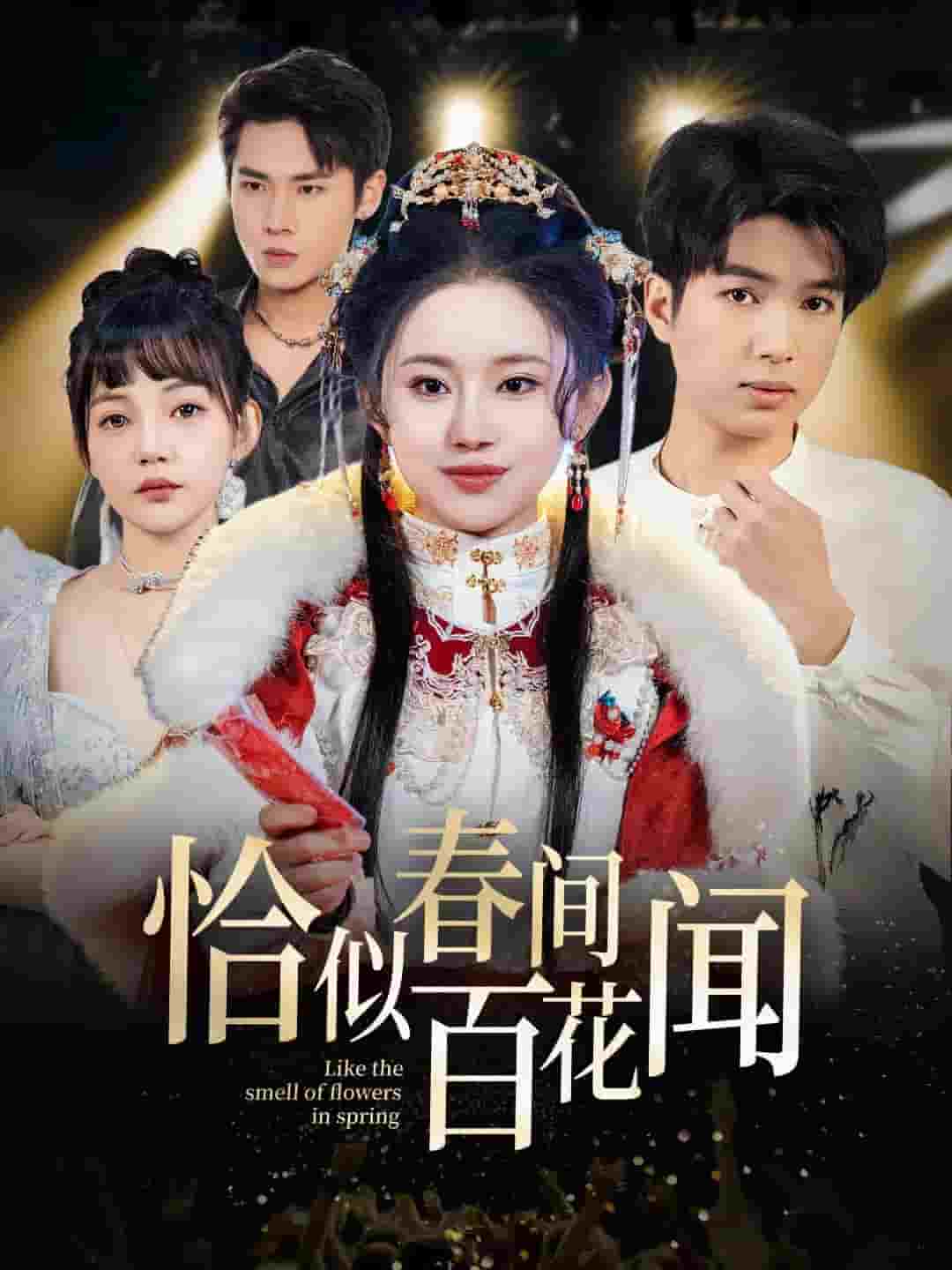 恰似春间百花闻（蓝光）