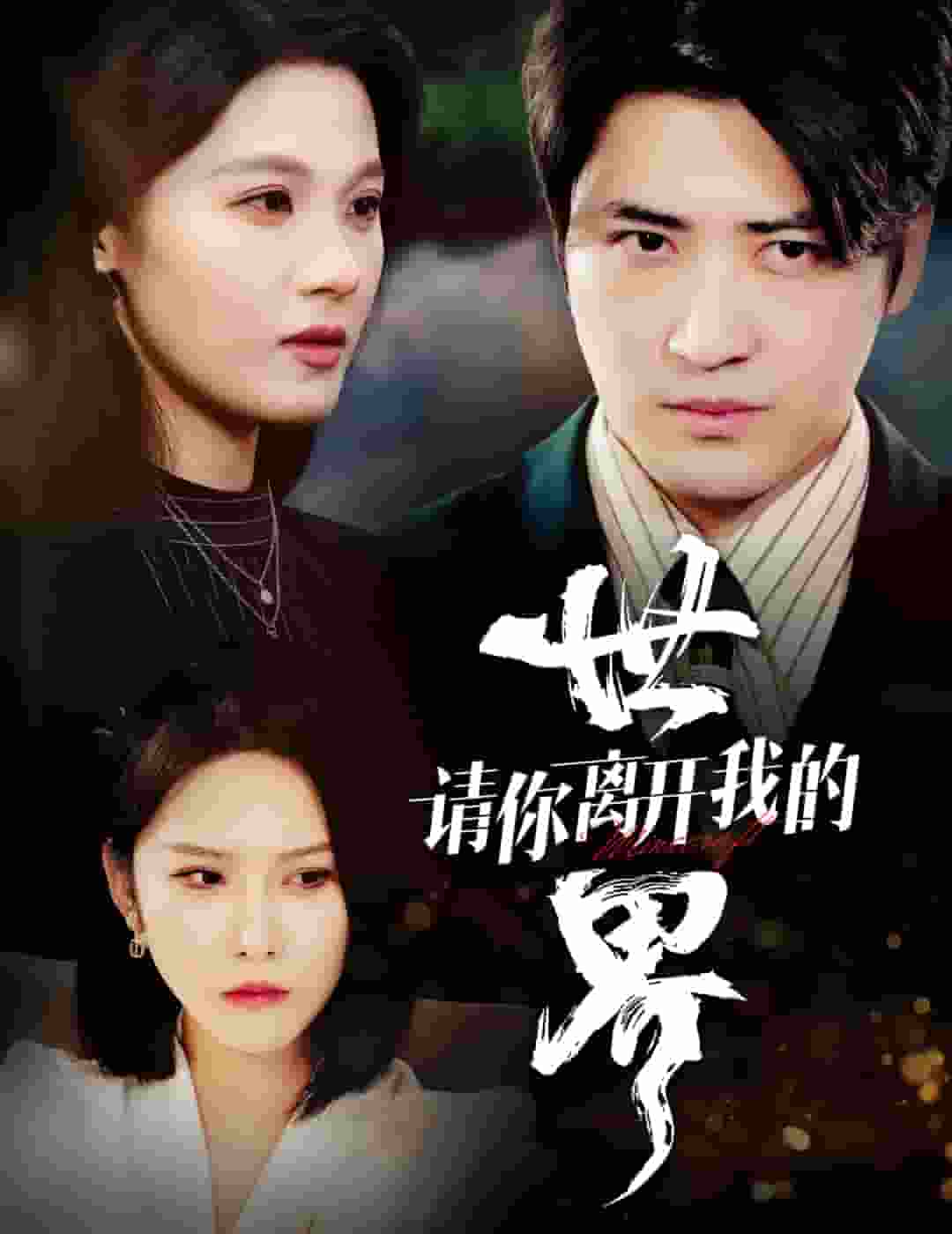 请你离开我的世界（蓝光）