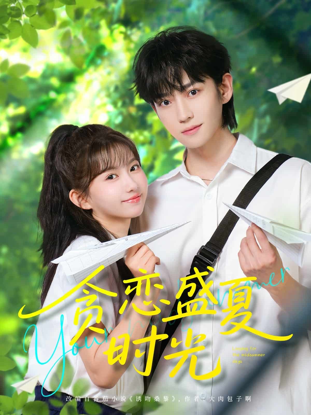 贪恋盛夏时光（1080）