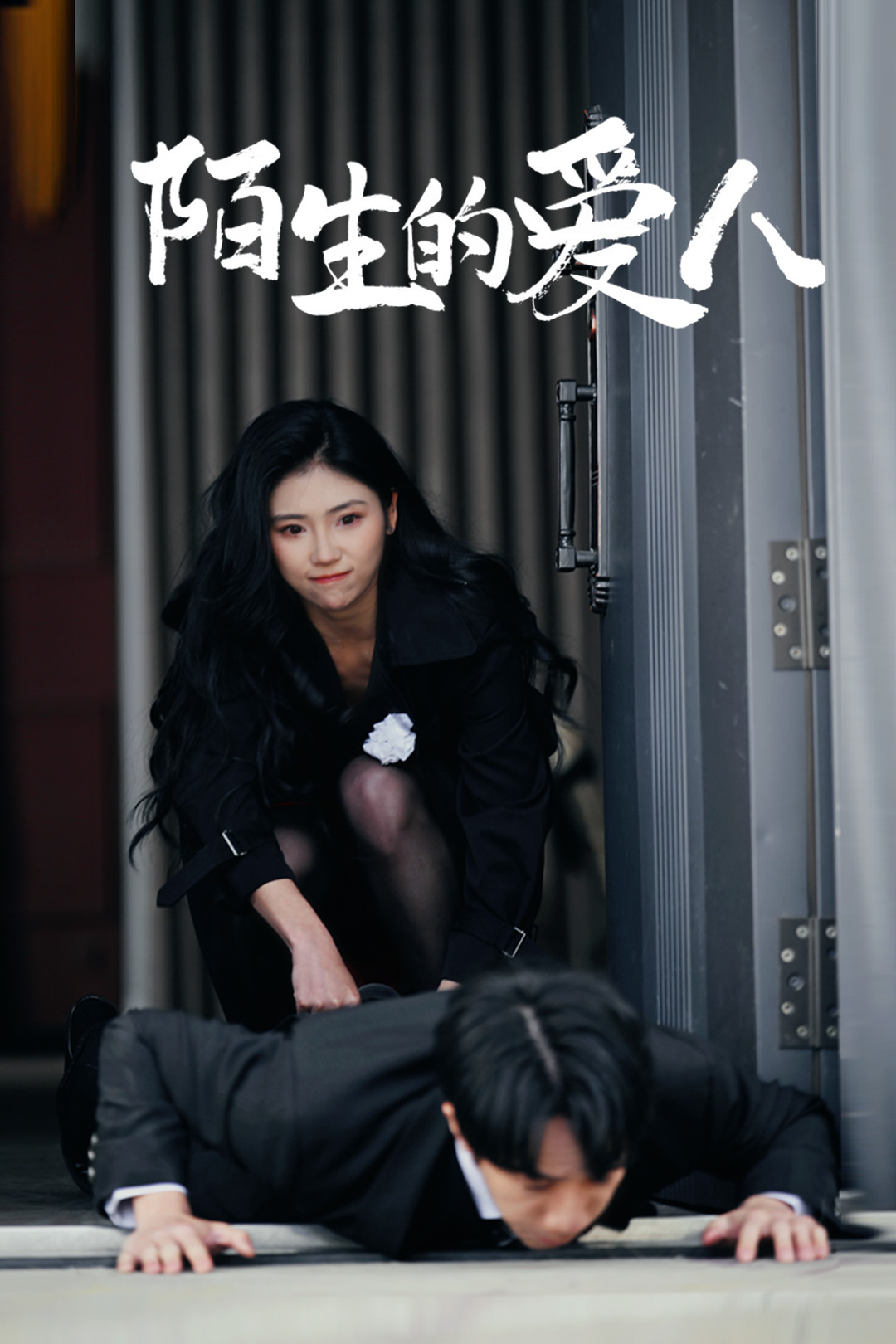 陌生的爱人（1080）