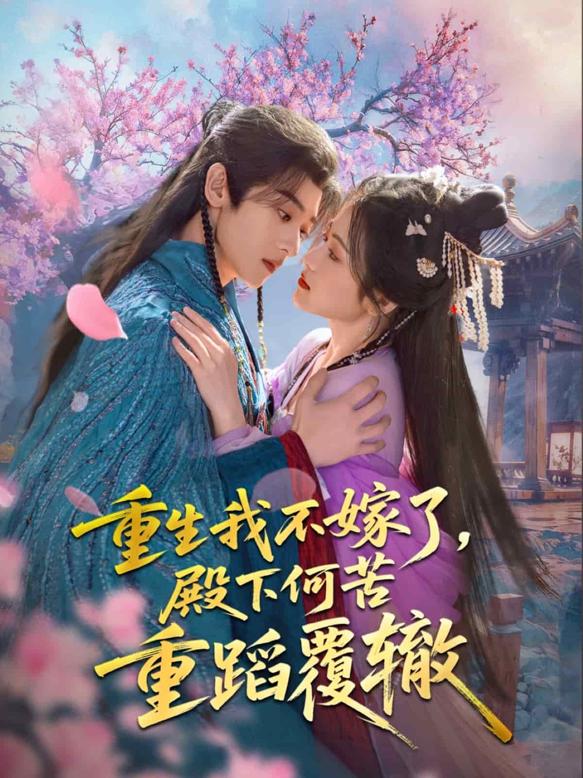 重生我不嫁了殿下何苦重蹈覆辙(蓝光)