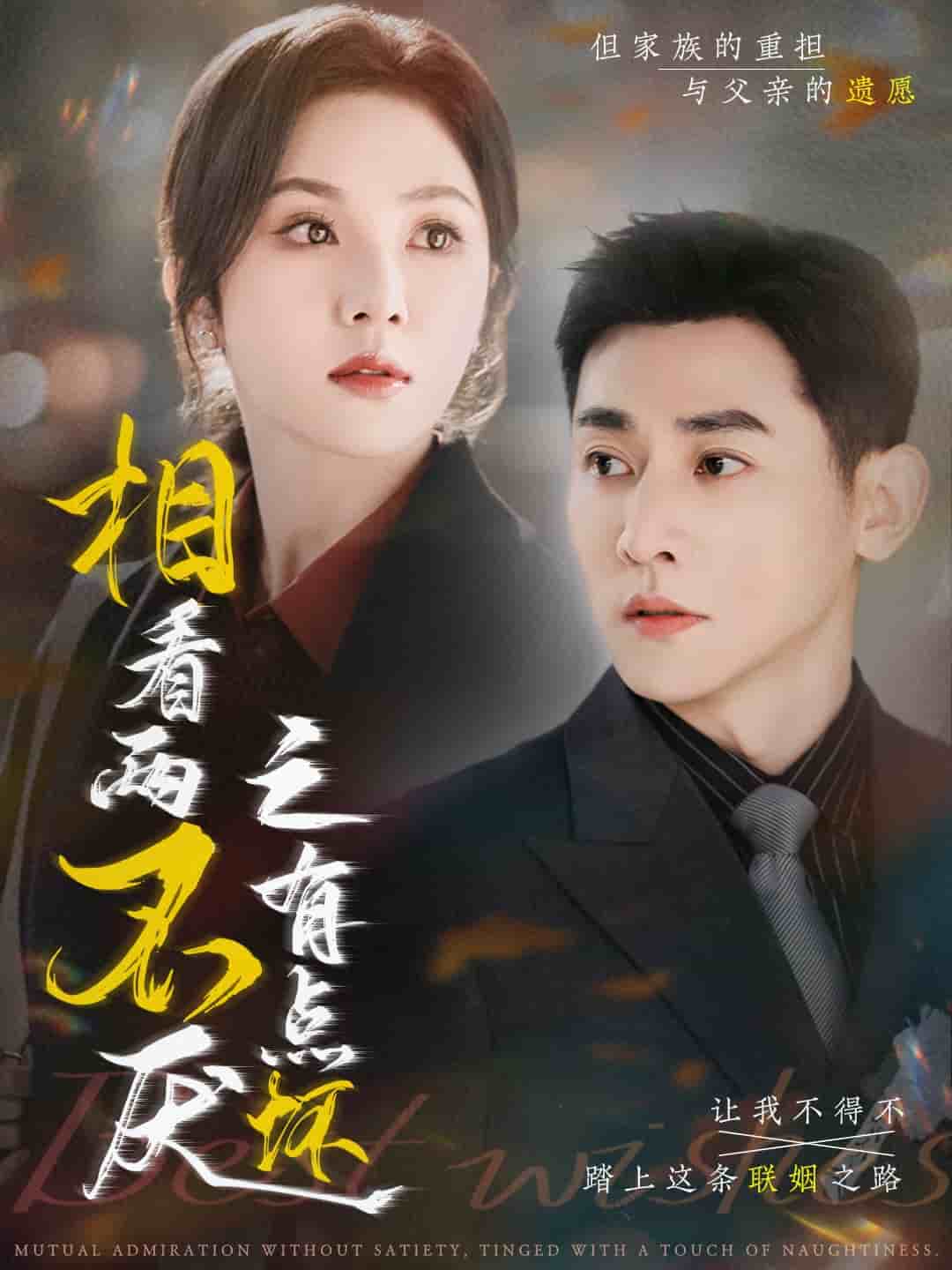 相看两不厌之有点坏（蓝光）