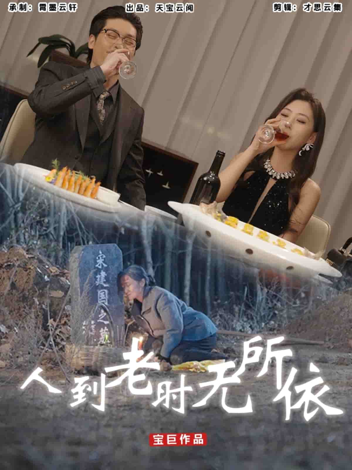 人到老时无所依（蓝光）