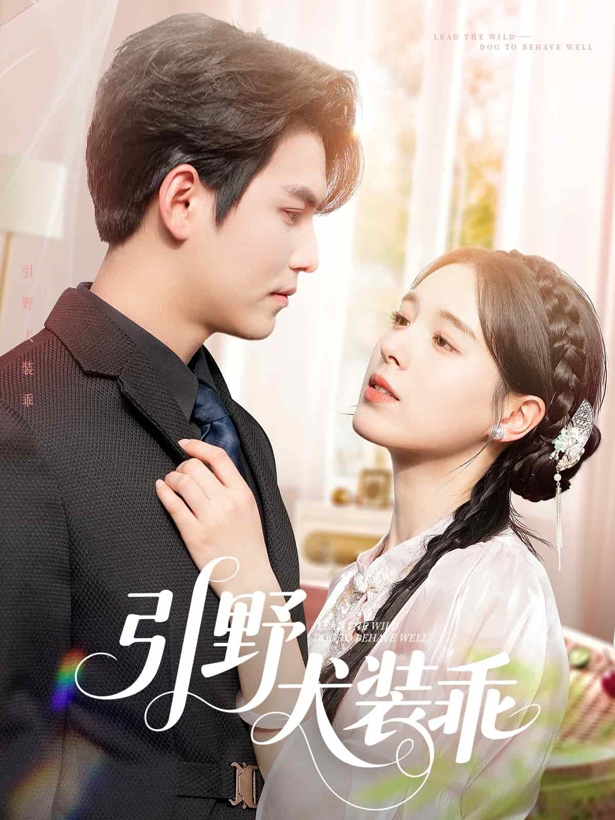 引野犬装乖（1080）