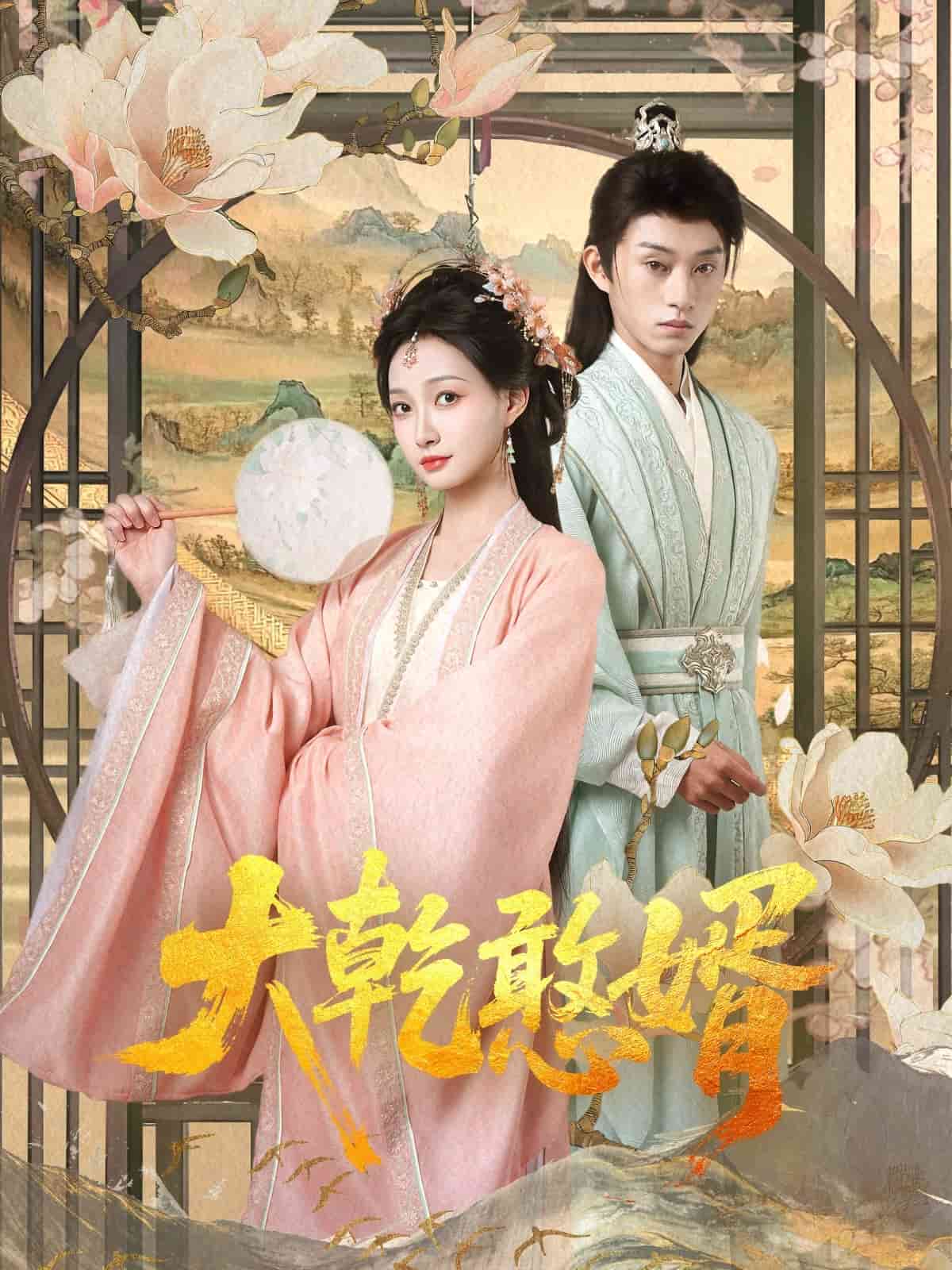 大乾憨婿(蓝光)