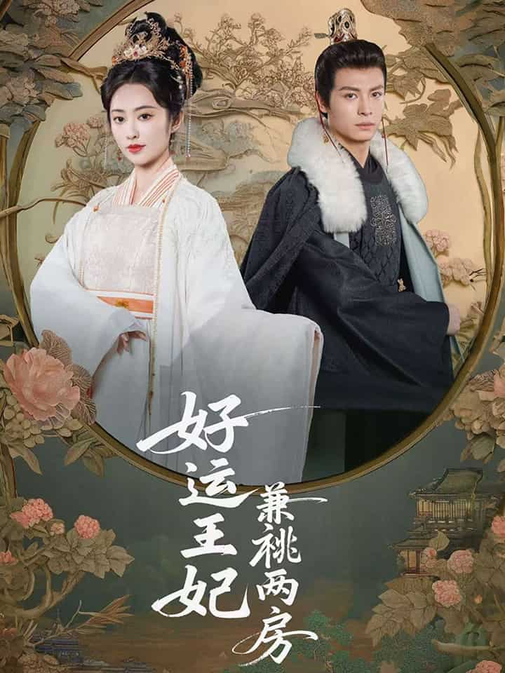 好运王妃兼祧两房(1080)