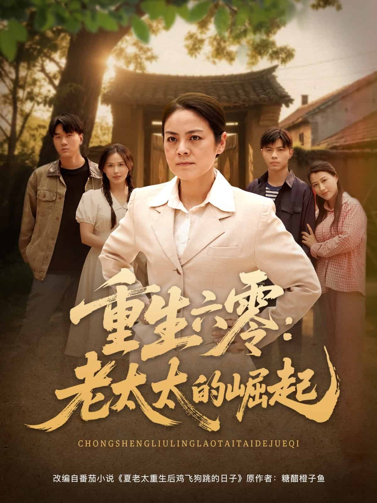 重生六零老太太的崛起(蓝光)
