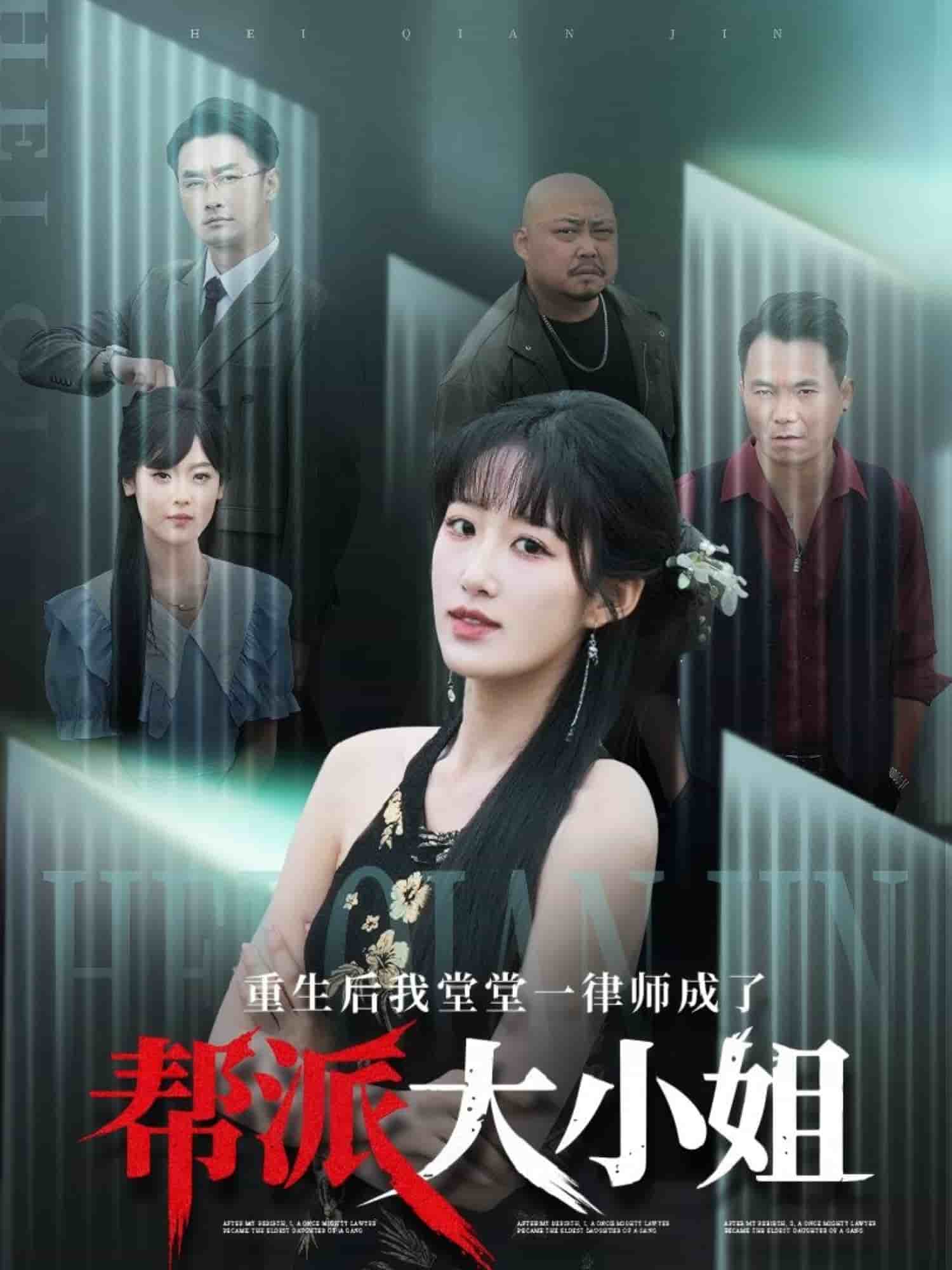 重生后我堂堂一律师成了帮派大小姐(蓝光)