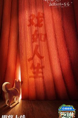 向往的生活第八季（4K）