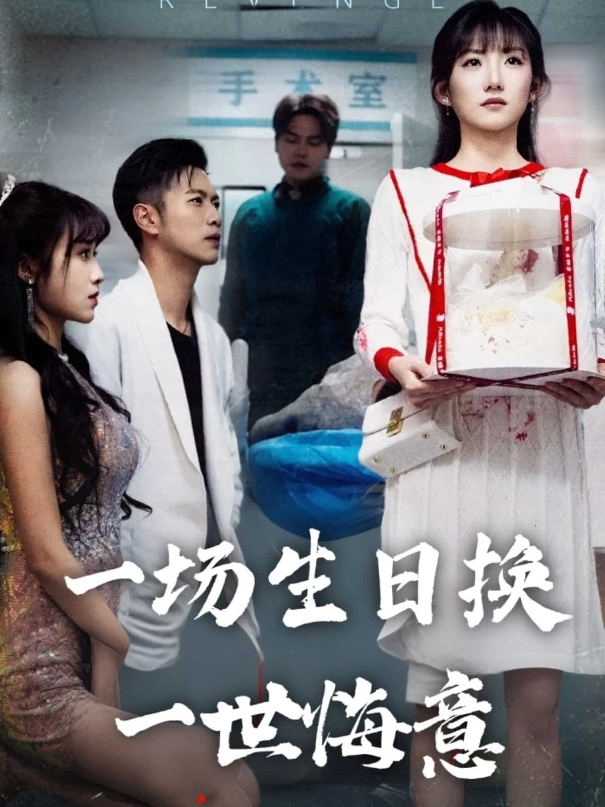 一场生日换一世悔意(蓝光)