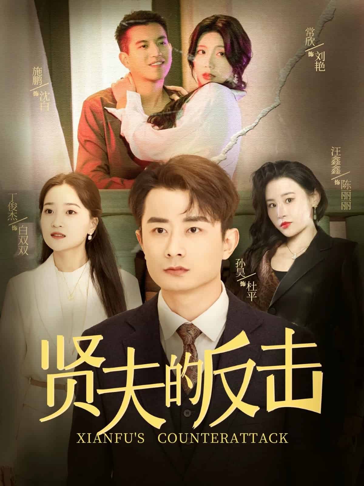 贤夫的反击(蓝光)