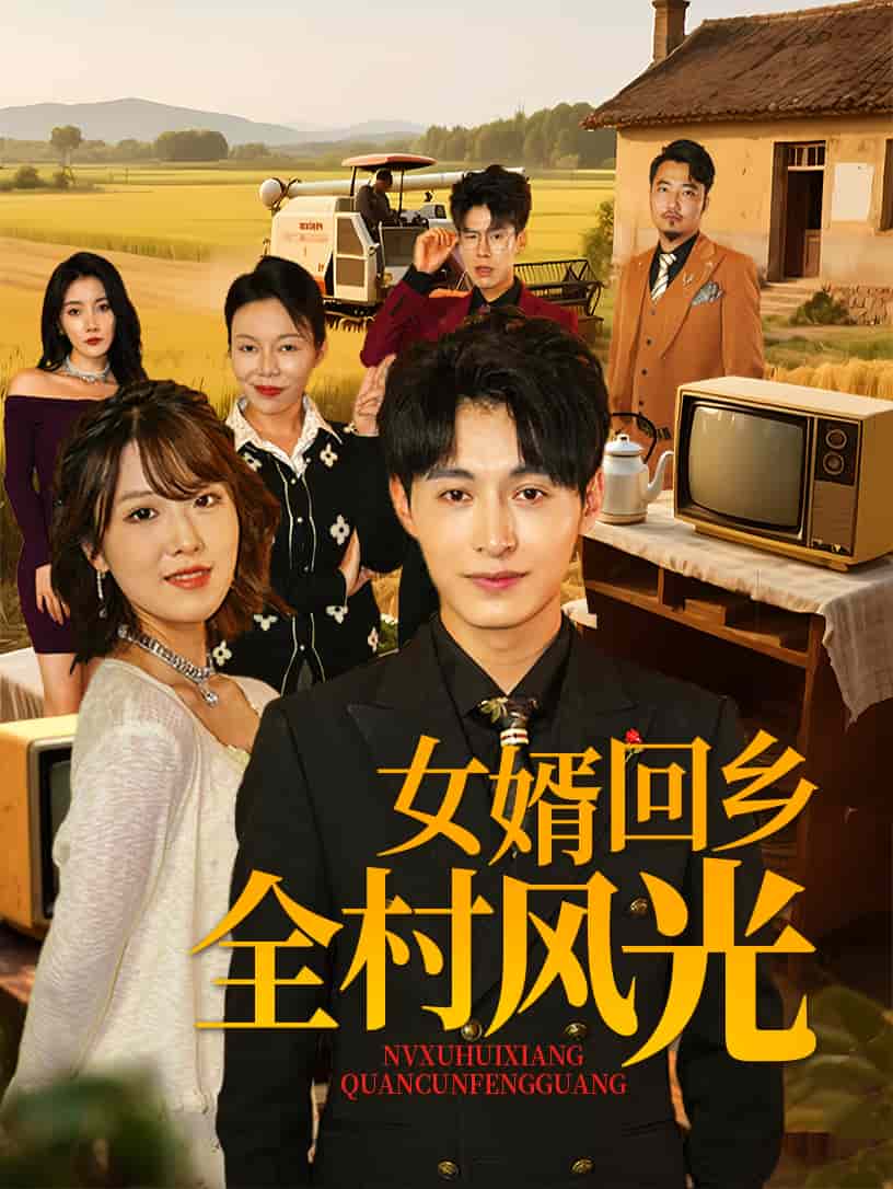 女婿回乡全村风光(蓝光)