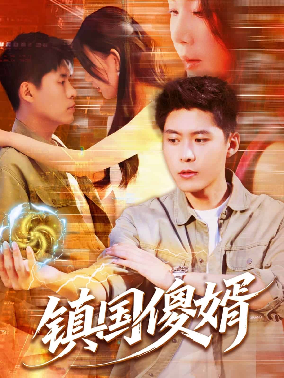 镇国傻婿(蓝光)