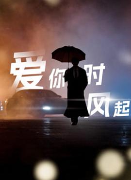 爱你时风起(蓝光)