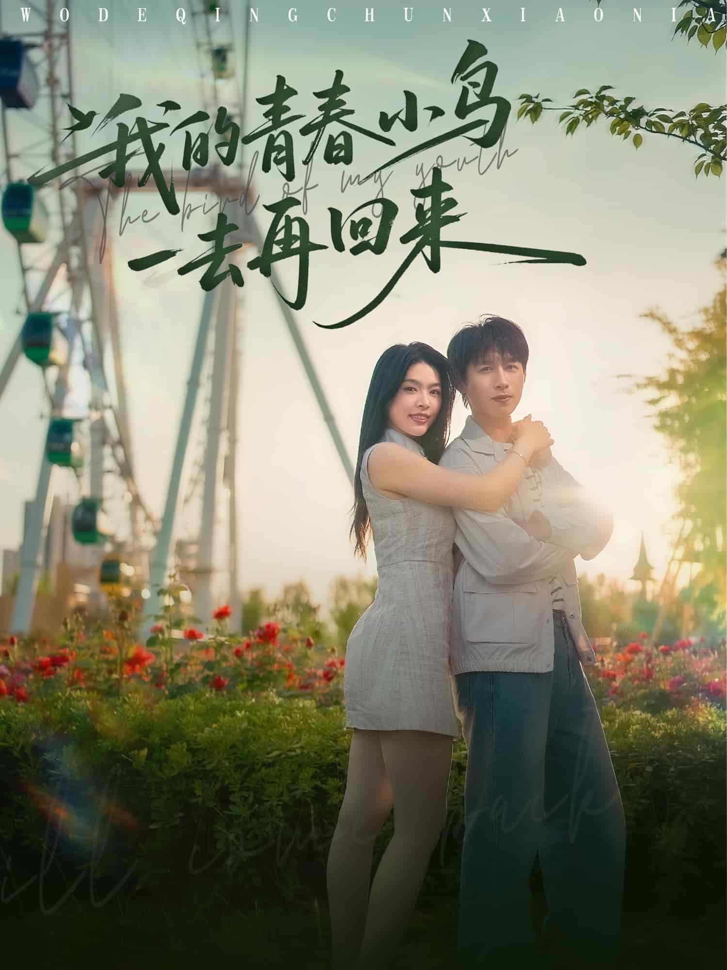 我的青春小鸟一去再回来(蓝光)