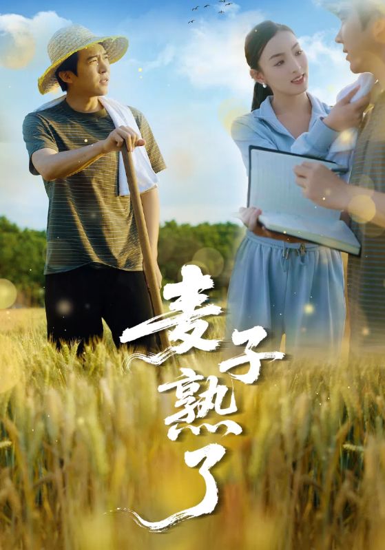 麦子熟了(1080)