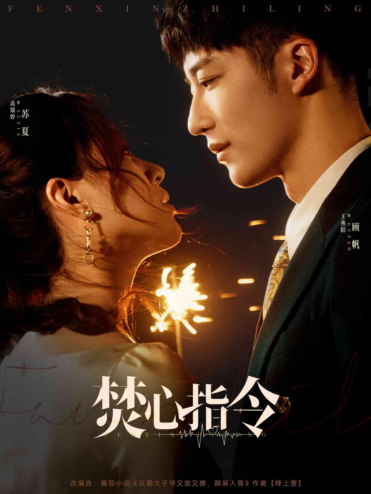 焚心指令(1080)