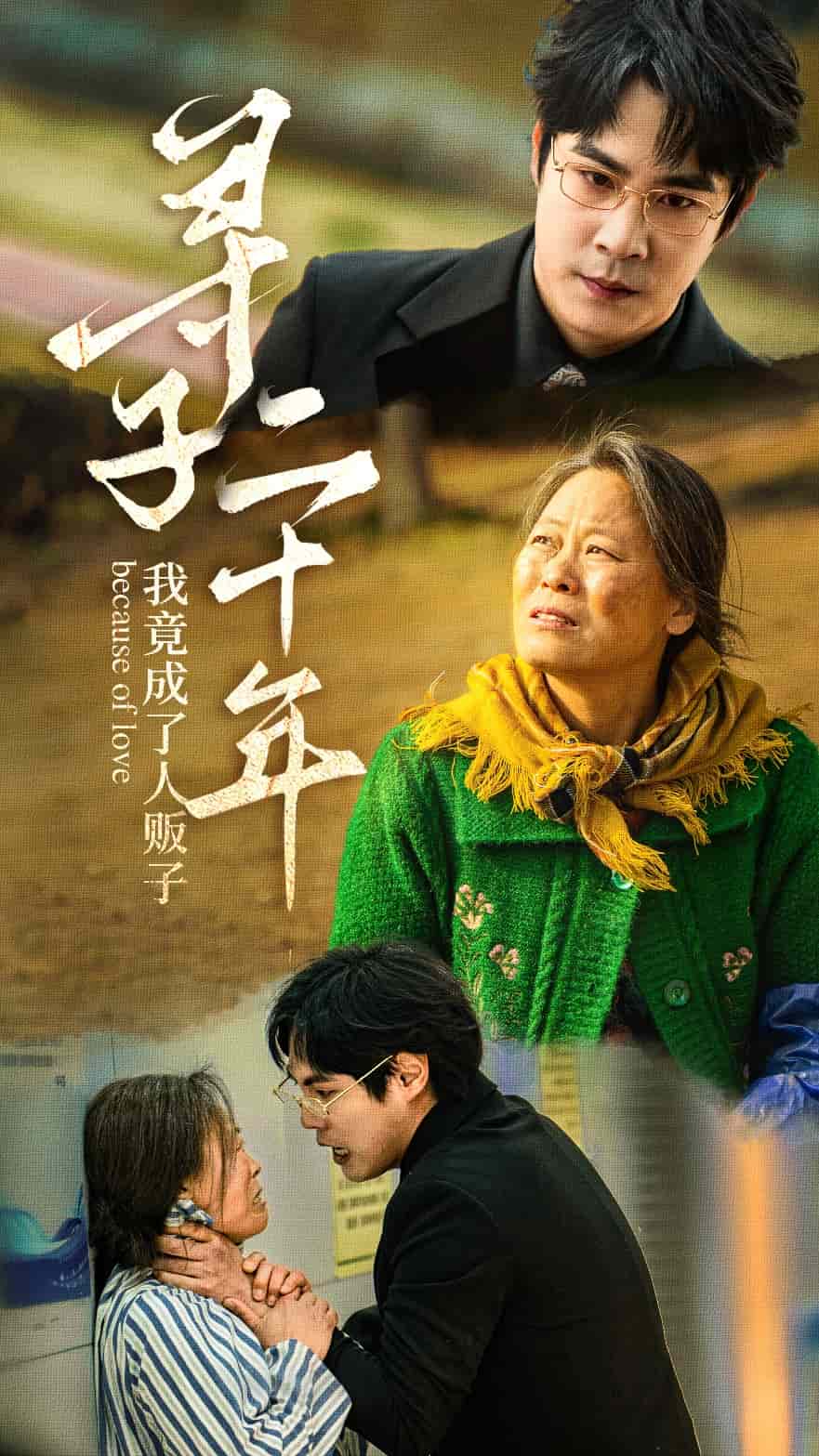 寻子二十年我竟成了人贩子(蓝光)