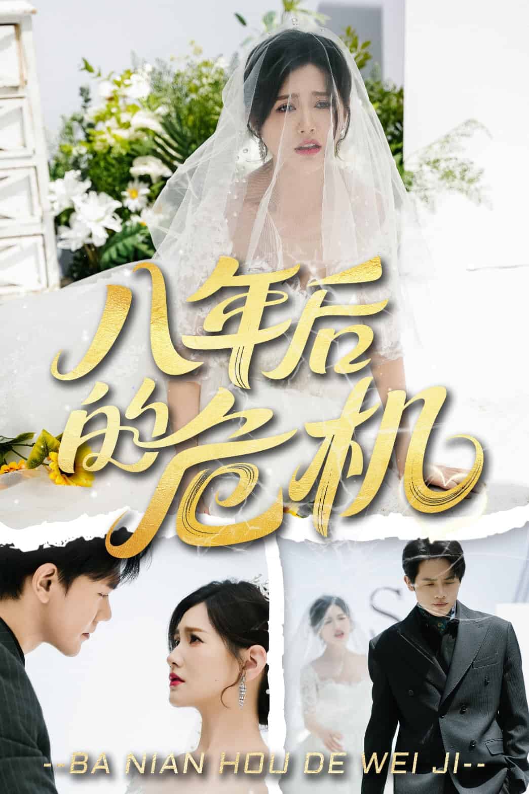 八年后的危机(蓝光)