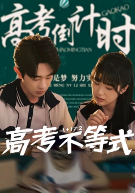 高考不等式(1080)