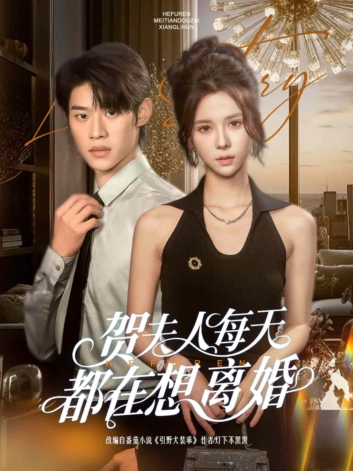 贺夫人每天都在想离婚(蓝光)