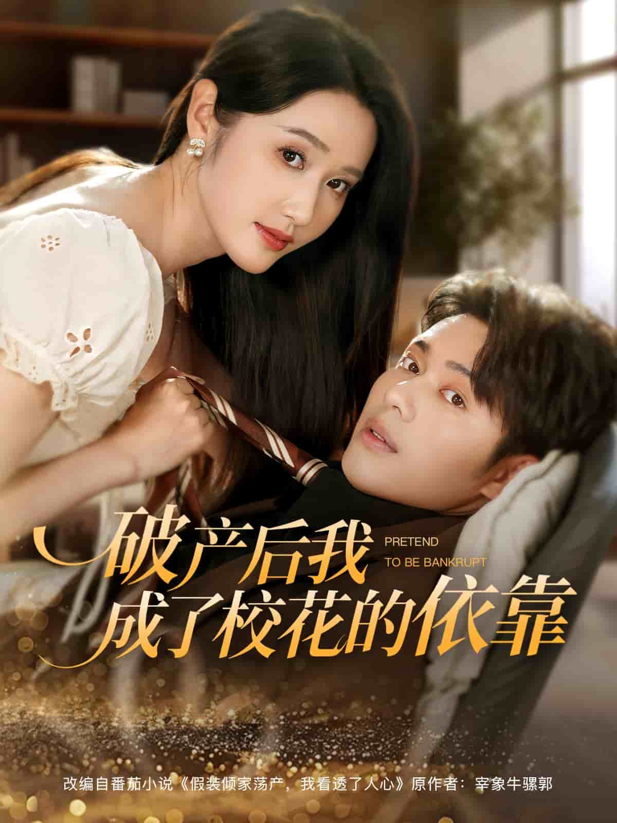 破产后我成了校花的依靠(蓝光)